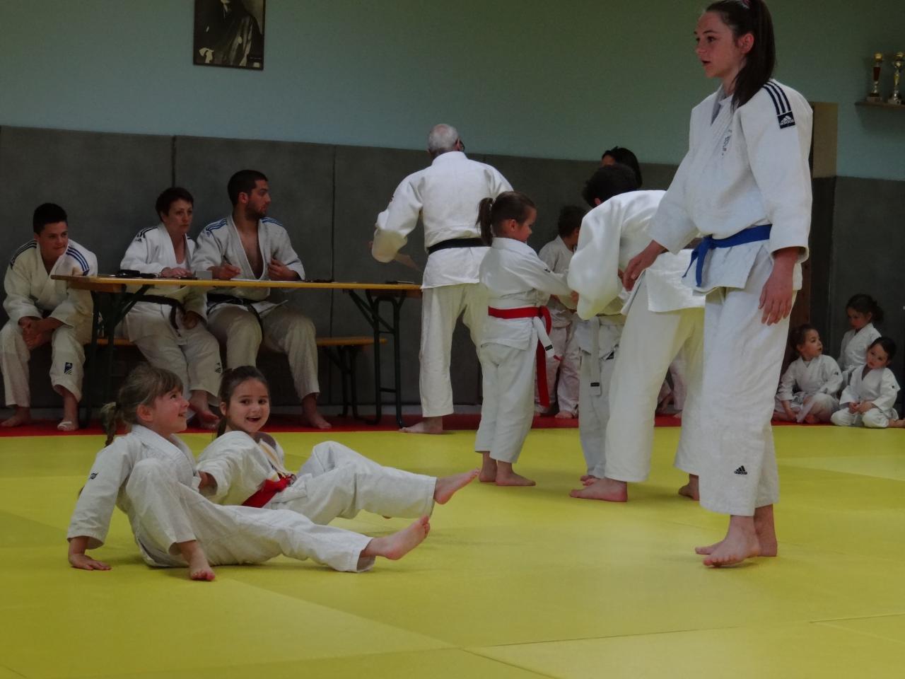 Combat de mini-poussinette